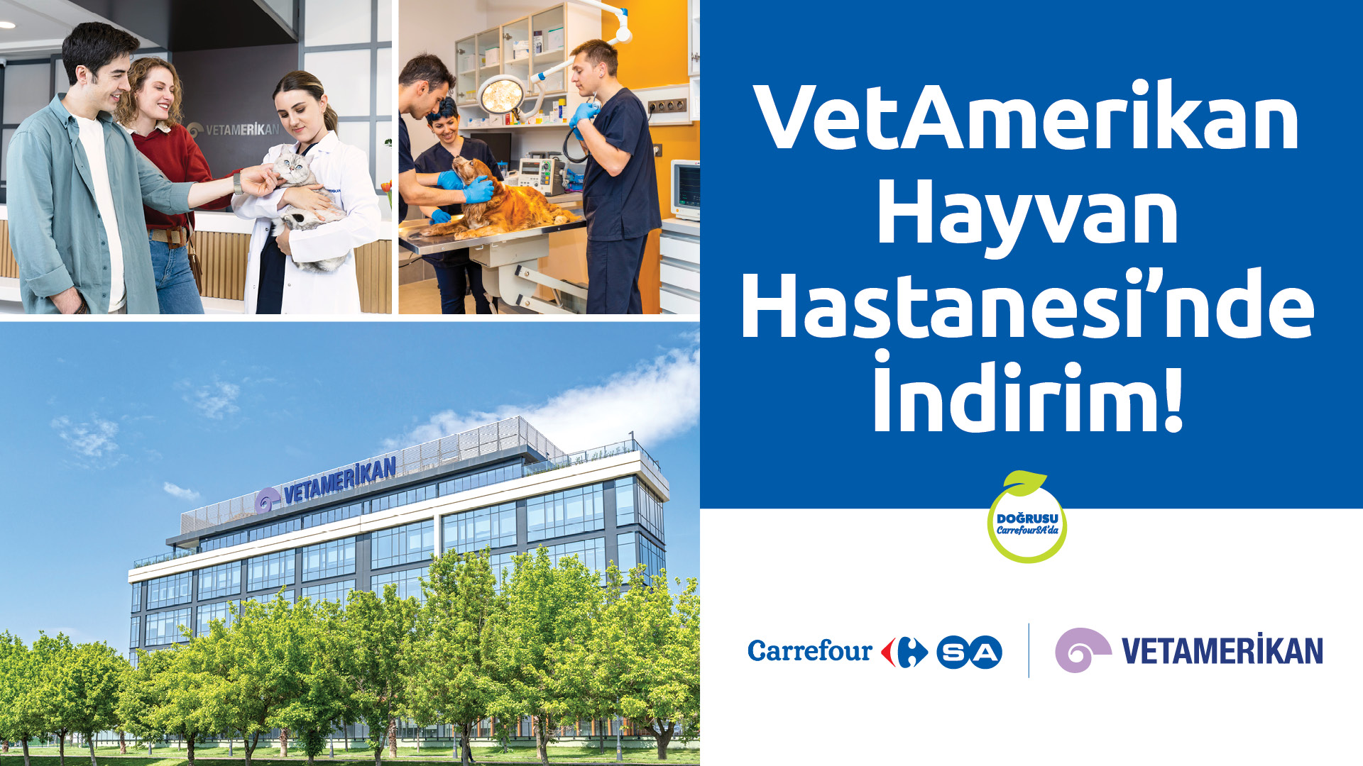 VetAmerikan Hayvan Hastanesi’nde İndirim!