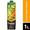 Cappy Atom Ballı, Karışık Meyve Suyu Karton Kutu 1 Litre