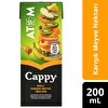 Cappy Atom Ballı, Karışık Meyve Suyu Karton Kutu 200 ml