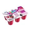 İçimino Büyüme Küpü Orman Meyveli 6x40 G
