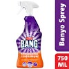 Cillit Bang Banyo Kir ve Kireç Çözücü Sprey 750 ml