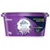 Glade Hava Tazeleyici Jel Mini Jel Lavanta Ferahlığı 70g