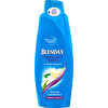 Blendax Yasemin Özlü Şampuan 500 ml