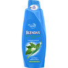 Blendax Isırgan Özlü Şampuan 500 ml