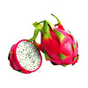 Pitahaya Ejder Meyvesi Adet