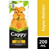 Cappy Bahçe Kayısılı Meyve Suyu Karton Kutu 200 ml