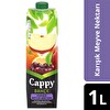 Cappy Meyve Suyu Karışık 1 L