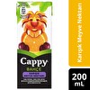 Cappy Karışık 200 ml