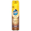 Pronto Mobilya Spreyi Klasik 300ml