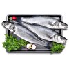Levrek 800-1000 g