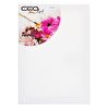 Ceo Art 50x70 Tuval