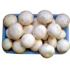 Mantar 300 g