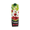 Cappy Vişne Tetra 1 l