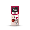 Cappy Vişneli Meyve Suyu Karton Kutu 200 ml