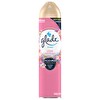 Glade Hava Tazeleyici Aerosol Oda Kokusu Çiçek Festivali 300ml