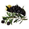 Sude Gemlik Yağlı Siyah Zeytin 261- 320 Kg