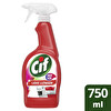 Cif Sprey Her Yer Leke Uzmanı 750 Ml