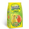 Jungle Kanarya Yemi 400 g