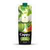 Cappy Ekşi Elma 1 Litre Tetra Paket
