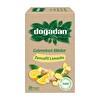 Doğadan Zencefil Limonlu Çay 18'li