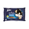 Felix 4x85 Gr Eko Balıklı Kedi Poşet