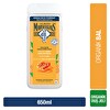 Le Petit Marseillais Bonheur Bal Duş Jeli 650 ml