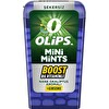 Olips Mini Mints Nane Okaliptus 12.5 g