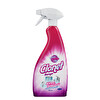 Diversey Clonet Banyo Kireç Sökücü Sprey 750 Ml