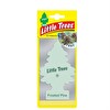 Car Freshner Asma Koku Frosted Pıne