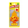 Car Freshner Asma Koku Kokteyl