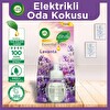 Air Wick Elektrikli Oda Kokusu Yedek Şişe Lavanta - Esansiyel Yağlar İçerir*