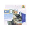 Catit Kedi Kaşınma Köşesi