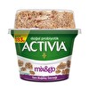 Activia Mix&Go Sade 183 g