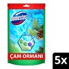 Domestos Tuvalet Bloğu Çam Ormanı 5'Li Güç 250 g