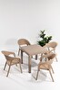 Garden Rattan Cappucino Masa Takımı Bahçe&balkon - 1 Masa 4 Sandalye