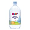 Hipp Doğal Mineralli Su 1 L