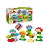 Lego® Yaratıcı Bahçe ve Çiçekler 10444