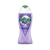 Palmolive Wellness Serenity Duş Jeli 500 ml