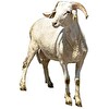4.Gün Küçükbaş Kurbanlık Paketi Karaman (Sakatat Dahil Yaklaşık 12-16 Kg)