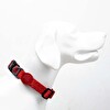 Tailpetz Prısm Boyun Tasması Xsmall
