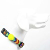 Tailpetz Raınbow Boyun Tasması  Small