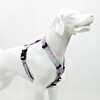 Tailpetz Bubbles H-Tipi Göğüs Tasması M