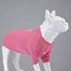Flex Cotton Candy Küçük ve Orta Irk Köpek Tshirt Beden 3