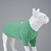 Flex Make Today Amazing Küçük ve Orta Irk Köpek Tshirt Beden 3