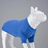 Flex On The Clouds Küçük ve Orta Irk Köpek Tshirt Beden 6