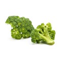 Brokoli Organik