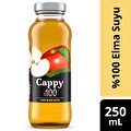 Cappy %100 Elma 250 ml Cam