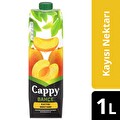 Cappy Bahçe Kayısılı Meyve Suyu Karton Kutu 1 Litre