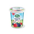 Sütaş Orman Meyveli Yoğurt 500 g