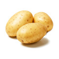 Yemeklik Patates kg